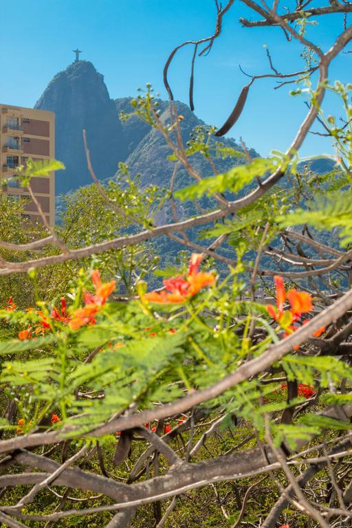 Rio Nature Hostel ريو دي جانيرو الغرفة الصورة