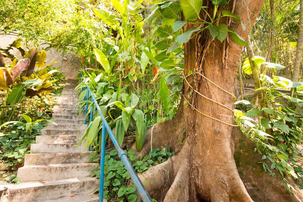 Rio Nature Hostel ريو دي جانيرو المظهر الخارجي الصورة